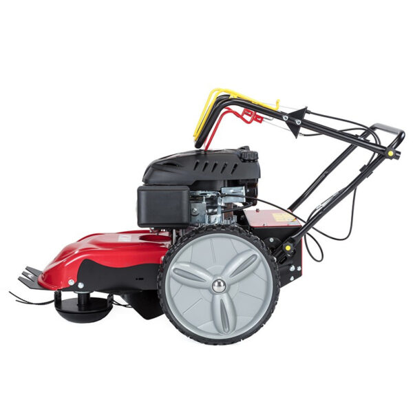 Kiva Zinnia (Honda) – Image 5